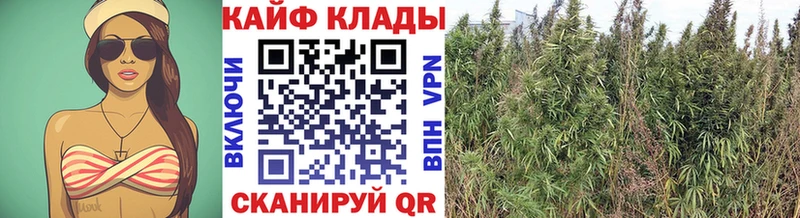 Где купить Людиново АМФ ГАШИШ Марихуана Кодеин Кокаин