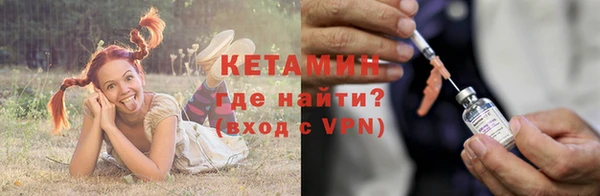 гидра Алексеевка