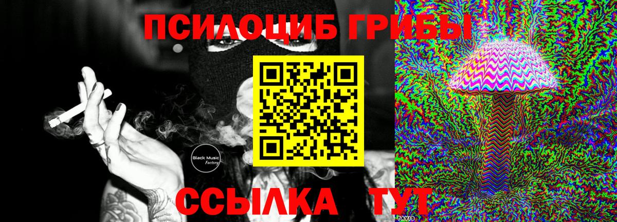 Людиново  Псилоцибиновые грибы Psilocybine cubensis  Вход с VPN  Псилоцибиновые грибы Cubensis 